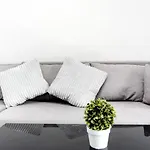 Cg Apartments
